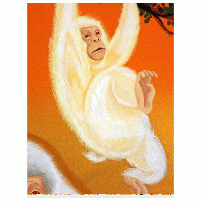 白猿