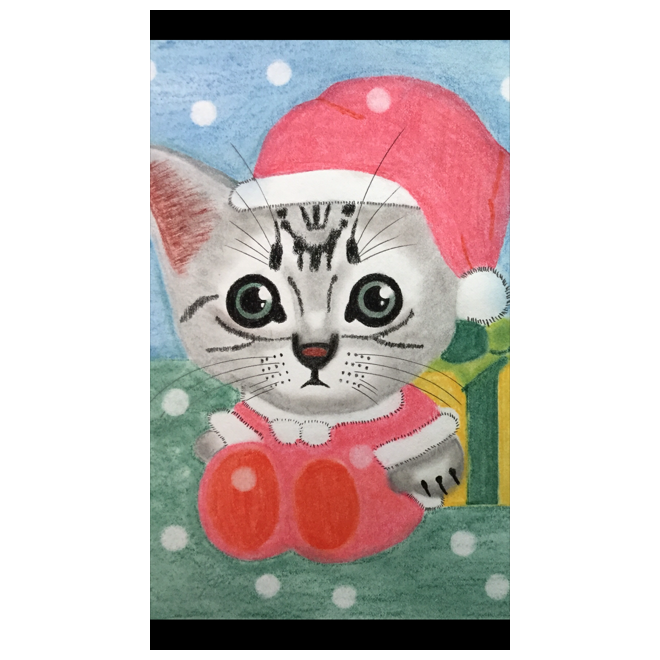 クリスマスの猫