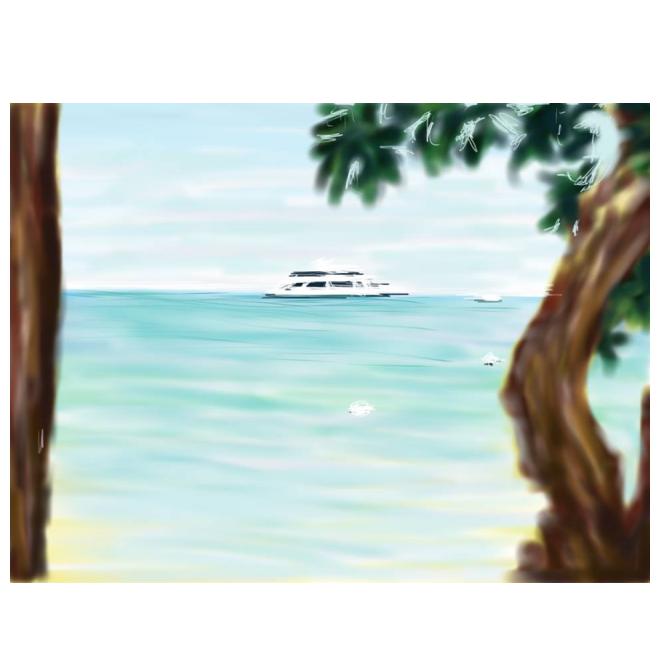 海