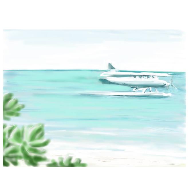 水上飛行機