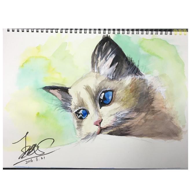 cat
