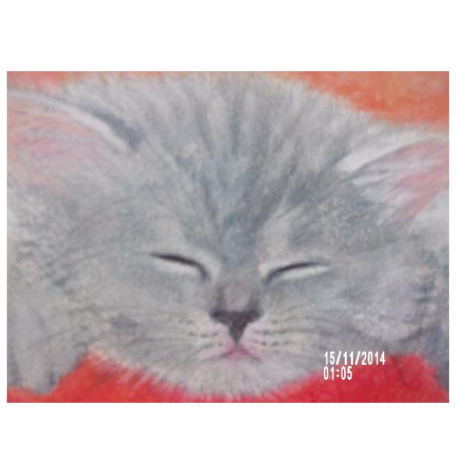 お眠むの子猫