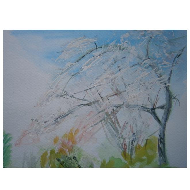 しだれ桜　2014