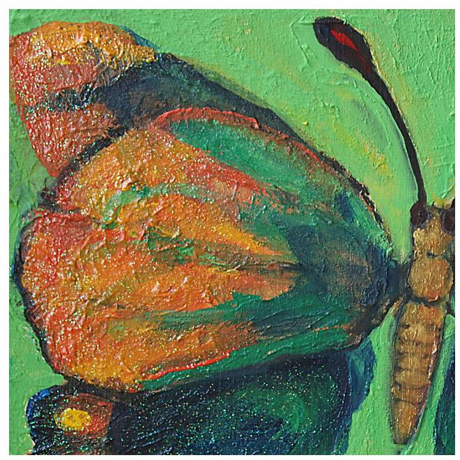 Butterfly Ⅰ