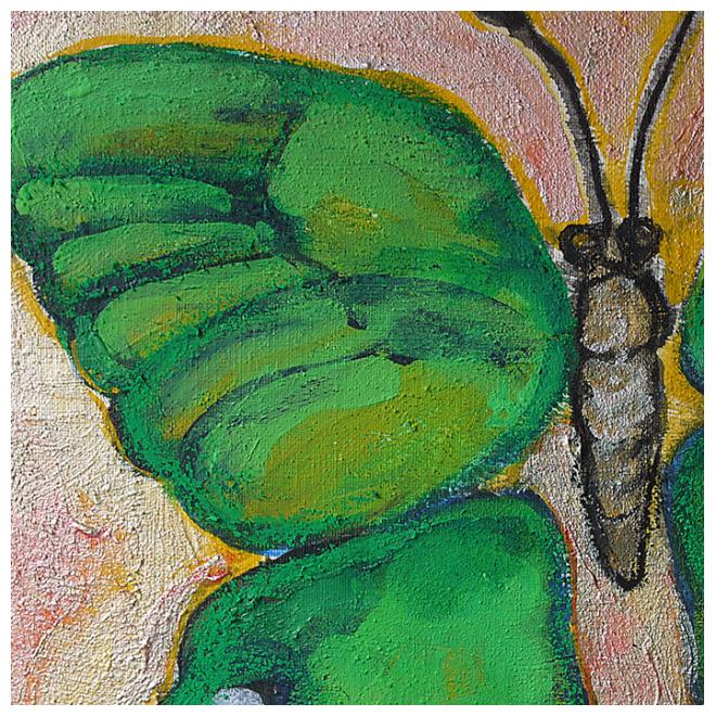 Butterfly Ⅳ