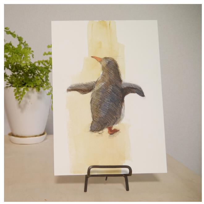 たたずむペンギン-1