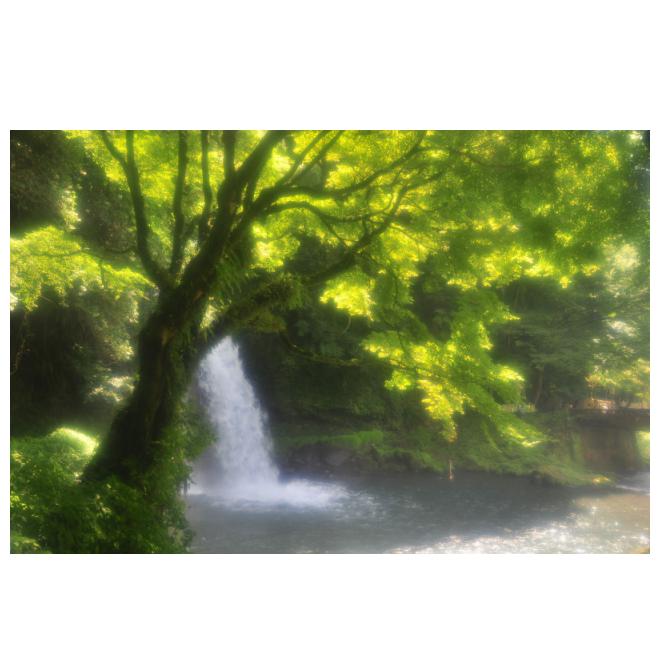 作品名