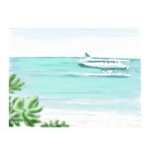 水上飛行機