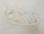 眠る猫　