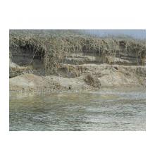 River's Edge