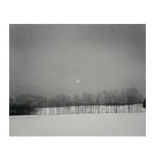 雪月樹